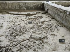 -金沙遗址博物馆