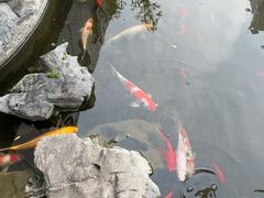 -道南書院·私房菜·早午茶·茶馆