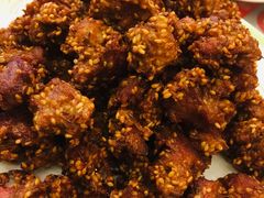 芝麻羊肉-烤肉宛饭庄(北新桥店)