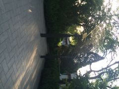 菖蒲河公园-菖蒲河公园