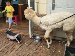 -昆明动物园