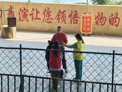 -东方熊牧场