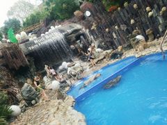 -100蛋泥浆浴