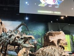 -天津自然博物馆