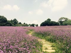 石象湖-保利石象湖景区