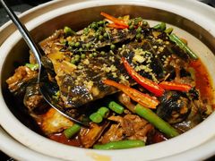 姜汁甲鱼-临江宴(陆家嘴店)