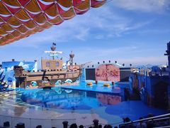 -海合安青岛极地海洋公园
