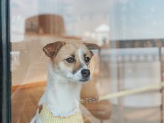 -ChanDu躔度咖啡(灯塔店)