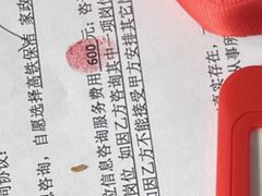 -成都东站