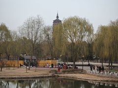-西海子公园