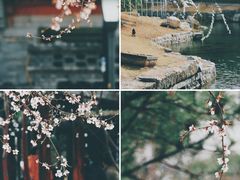 -三里河公园