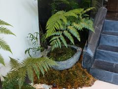 -德迹斋禅意文化茶馆·茶空间·商务洽谈•宴席(桃园店)