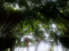 -箱美术馆私房菜(水晶郦城店)