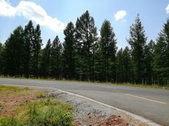 -塞罕坝国家级自然保护区