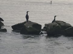 -深圳湾公园(南山区)