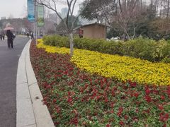 -青枫公园