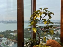 -洄归山也·高空C位湖景下午茶(东方之门店)