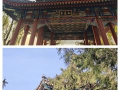 -颐和园