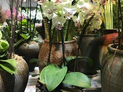 -花草间花行(法华镇路店)