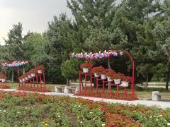 -北陵公园