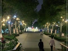 -中央公园(苏州工业园区)