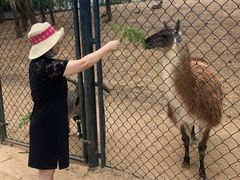 -大连森林动物园