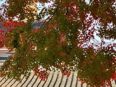 -寒山寺