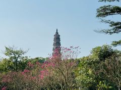 -顺峰山公园