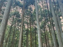 -雁荡山大龙湫景区