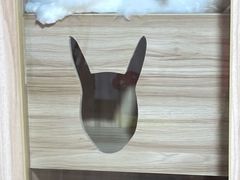 -白兔子密室(长寿路店)