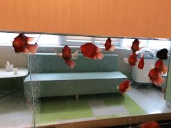 -杭州贝瑞斯美华妇儿医院·早孕·产检·儿科