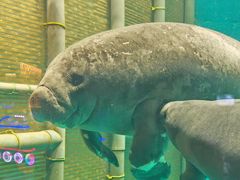 -泉城欧乐堡海洋极地世界