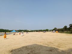 -瑶湖郊野森林公园