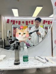 -和木形象