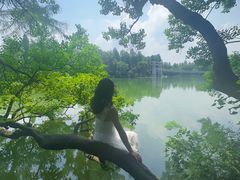 -东湖落雁景区