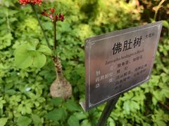 -广州神农草堂中医药博物馆