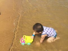 -碧海金沙