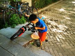 -鑫晨豆腐坊(和皇家园一期店)