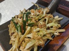 -邵年鸽(杨庄店)
