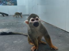 -西安秦岭野生动物园