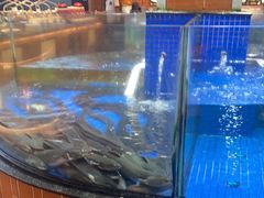 -闽南厝·闽南菜(福隆店)