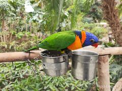 -南宫五洲植物乐园