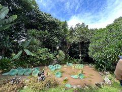 -中国科学院西双版纳热带植物园