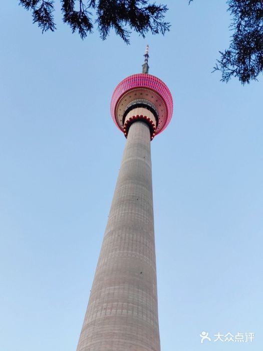 中央广播电视塔图片
