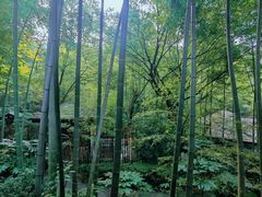 -天目湖御水温泉·度假酒店