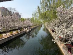 -元大都城垣遗址公园