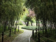 -新虹桥中心花园