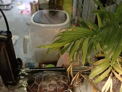 -粉墨私人影院•无人自助(维多利亚店)