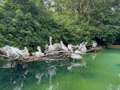 -珠海长隆海洋王国