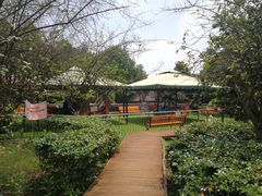 -铁山坪森林公园